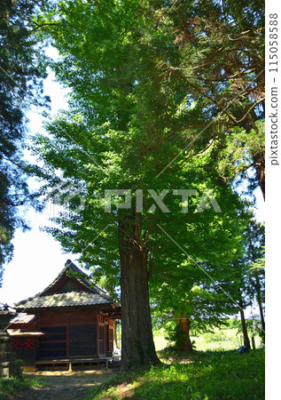 Shinoo Shrine, a power spot in Yakataharacho, Numata City, Gunma Prefecture Shinoo Shrine, a power spot in Yakataharacho, Numata City, Gunma Prefecture 115058588