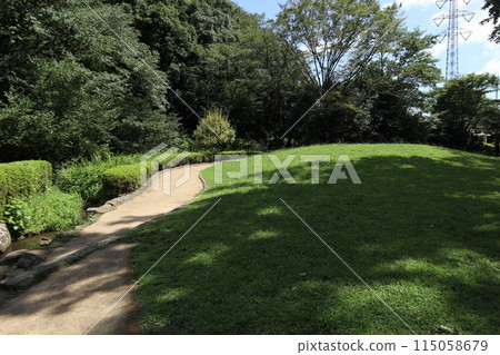 神奈川東高根森林公園 115058679