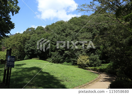 神奈川東高根森林公園 神奈川東高根森林公園 115058680