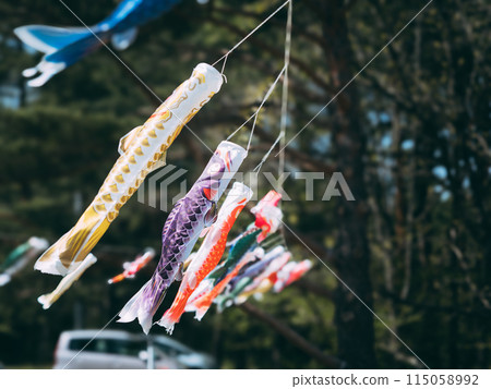 Lots of small carp streamers 115058992