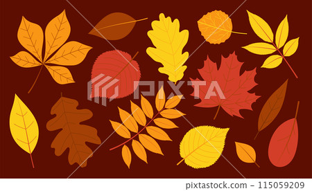 Autumn leaves set. Flat vector isolated illustration Autumn leaves set. Flat vector isolated illustration 115059209