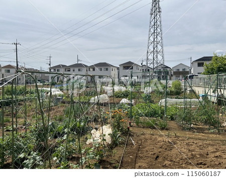 Farmland, fields, residential areas Farmland, fields, residential areas 115060187
