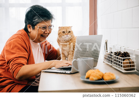A woman, in her office at home, types on her laptop with her elderly cat perched on the desk. Their friendship and togetherness create a heartwarming scene of productivity and relaxation. pet love A woman, in her office at home, types on her laptop with her elderly cat perched on the desk. Their friendship and togetherness create a heartwarming scene of productivity and relaxation. pet love 115060362