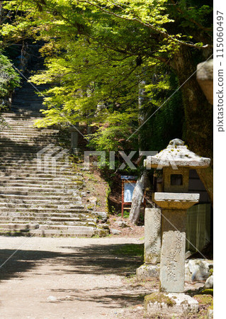 神社的參拜路線與燈籠 神社的參拜路線與燈籠 115060497