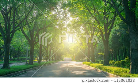 清新綠色公園背景素材03 清新綠色公園背景素材03 115061028