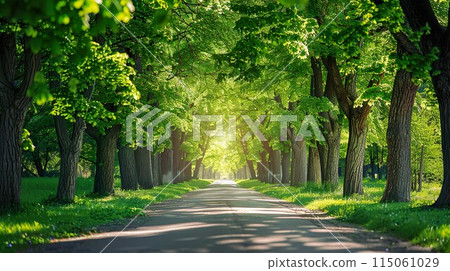 清新綠色公園背景素材05 清新綠色公園背景素材05 115061029