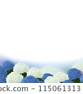 白色繡球花背景 115061313