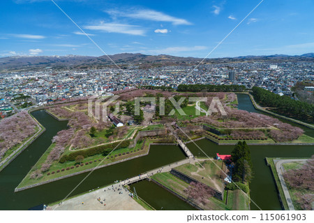 Cherry blossoms in Goryokaku Park as seen from Goryokaku Tower Cherry blossoms in Goryokaku Park as seen from Goryokaku Tower 115061903
