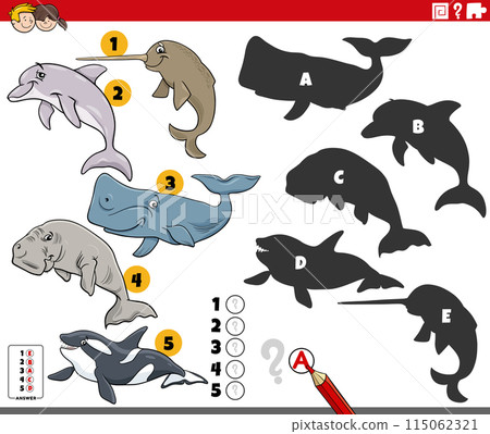 finding shadows activity with cartoon marine mammals 115062321