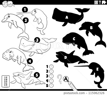 finding shadows game with cartoon marine mammals coloring page 115062326