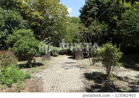神奈川東高根森林公園 115062403