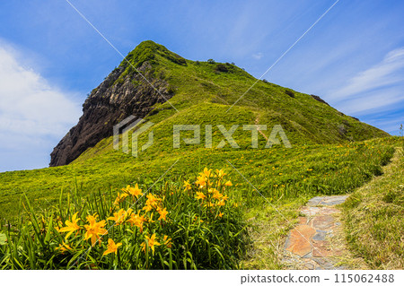[新潟縣/佐渡]初夏5月至6月的小野龜花園 115062488