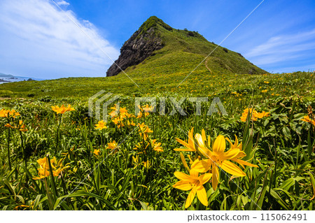 [Niigata Prefecture/Sado] Onogame Flower garden in early summer May to June 115062491