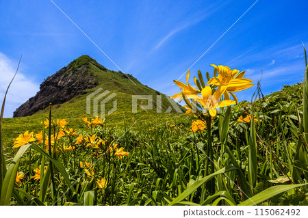 [Niigata Prefecture/Sado] Onogame Flower garden in early summer May to June 115062492