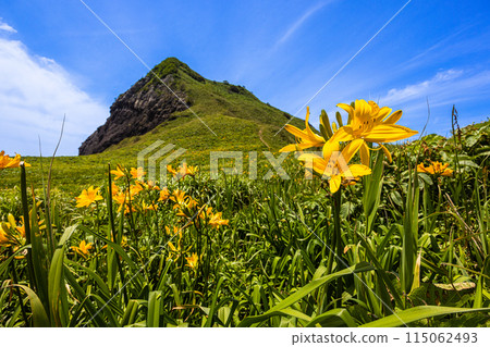 [Niigata Prefecture/Sado] Onogame Flower garden in early summer May to June 115062493