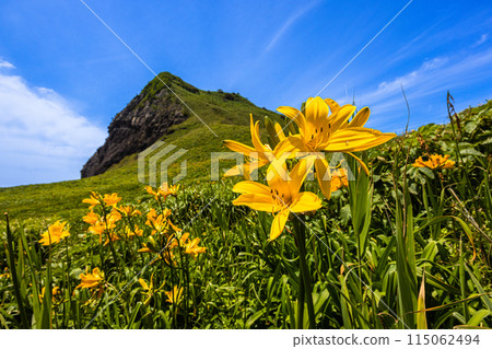 [Niigata Prefecture/Sado] Onogame Flower garden in early summer May to June 115062494