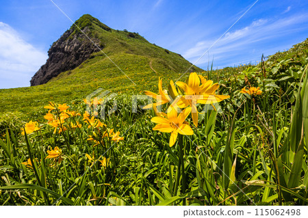 [Niigata Prefecture/Sado] Onogame Flower garden in early summer May to June 115062498