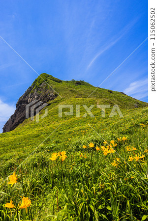 [Niigata Prefecture/Sado] Onogame Flower garden in early summer May to June 115062502