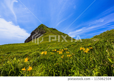 [Niigata Prefecture/Sado] Onogame Flower garden in early summer May to June 115062504