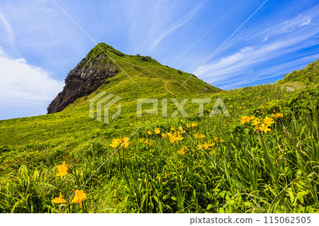 [Niigata Prefecture/Sado] Onogame Flower garden in early summer May to June 115062505