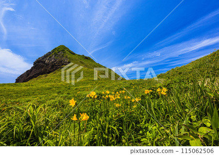 [Niigata Prefecture/Sado] Onogame Flower garden in early summer May to June 115062506