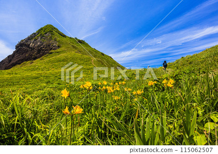 [新潟縣/佐渡]初夏5月至6月的小野龜花園 115062507