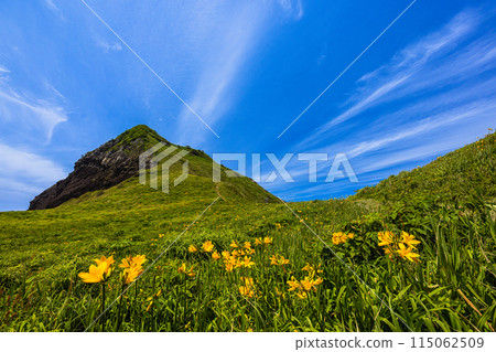 [新潟縣/佐渡]初夏5月至6月的小野龜花園 115062509