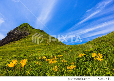 [Niigata Prefecture/Sado] Onogame Flower garden in early summer May to June 115062510