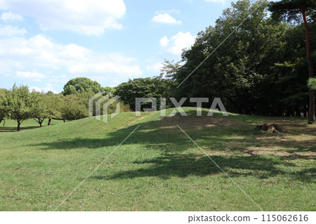 Nogawa Park 115062616