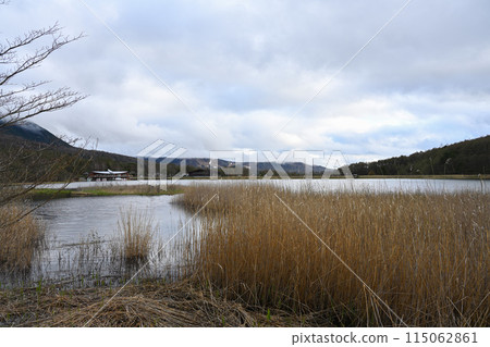 Spring Goddess Lake / Nagano Prefecture Spring Goddess Lake / Nagano Prefecture 115062861