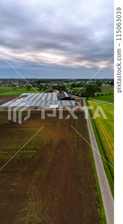 A rural greenhouse under cloudy sky, showcasing farming and agriculture in a natural setting A rural greenhouse under cloudy sky, showcasing farming and agriculture in a natural setting 115063039