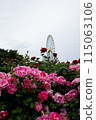 Rose and Ferris Wheel 115063106