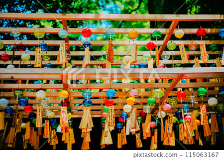 夏天美麗的風鈴 115063167