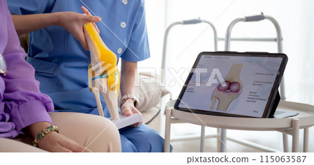 Caregiver or nurse helping check tendon and arthritis of knee or leg for diagnostic. 115063587