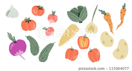 big set of vector vegetables in collage style isolated on white background big set of vector vegetables in collage style isolated on white background 115064077