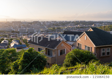 《東京》遍佈住宅區的夜景/東京郊區 《東京》遍佈住宅區的夜景/東京郊區 115064150