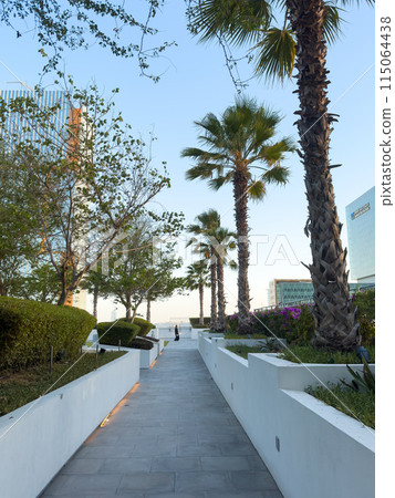 Palm Trees and Landscaped Gardens in Al Maryah Island Sky Park, Abu Dhabi Palm Trees and Landscaped Gardens in Al Maryah Island Sky Park, Abu Dhabi 115064438