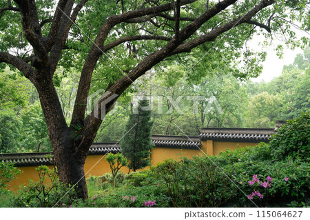 Yongfu Temple green forest garden in Hangzhou, China Yongfu Temple green forest garden in Hangzhou, China 115064627