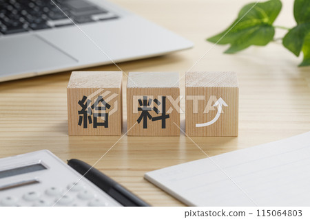A building block with the word "salary" written on it 115064803