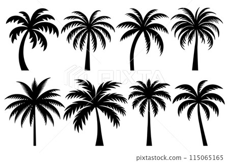Set of palm trees silhouette isolated on white background. Vector Illustration. 115065165