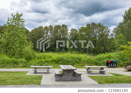 Picnic table and benches on green lawn in a park Picnic table and benches on green lawn in a park 115065193