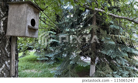 Wooden birdhouse hanging on a tree in the park on a background of leaves, bird feeder, animal care Wooden birdhouse hanging on a tree in the park on a background of leaves, bird feeder, animal care 115065247