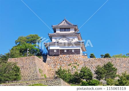 [Kagawa Prefecture] Marugame Castle on a clear May day as seen from the northern inner moat (a famous castle with a surviving castle tower and stone walls) 115065319