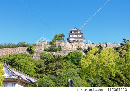 [香川縣]從北側的內護城河看到的五月天氣的丸龜城（現存天守閣和石牆的名城） 115065320