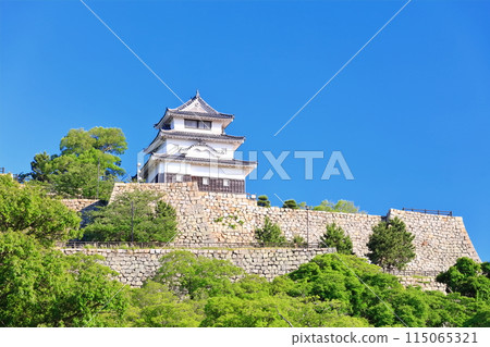 [Kagawa Prefecture] Marugame Castle on a clear May day as seen from the northern inner moat (a famous castle with a surviving castle tower and stone walls) 115065321