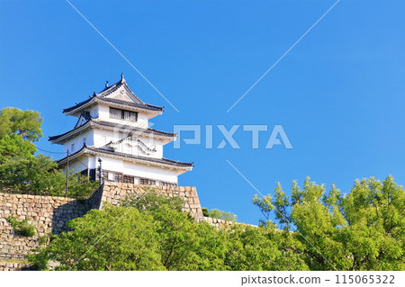 [Kagawa Prefecture] Marugame Castle on a clear May day as seen from the northern inner moat (a famous castle with a surviving castle tower and stone walls) 115065322