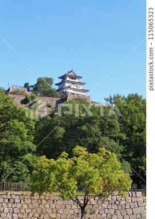 [Kagawa Prefecture] Marugame Castle on a clear May day as seen from the northern inner moat (a famous castle with a surviving castle tower and stone walls) 115065323