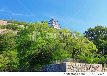 [Kagawa Prefecture] Marugame Castle on a clear May day as seen from the northern inner moat (a famous castle with a surviving castle tower and stone walls) 115065324
