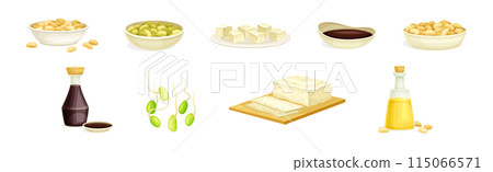 Soya Product from Edible Legume Plant Vector Set 115066571