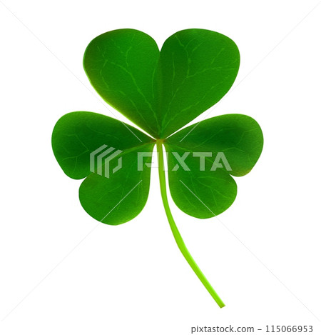 3d Realistic Green Shamrock Leaf Isolated on White Background, Symbol of Celebration, Irish Holiday, St. Patrick's Day. Vector Clover illustration 115066953